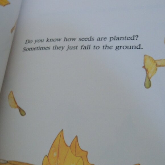 All About Seeds by Susan Kuchalla (Author) + Jane McBee (Illustrator) 1.1.96 - Picture 5 of 6